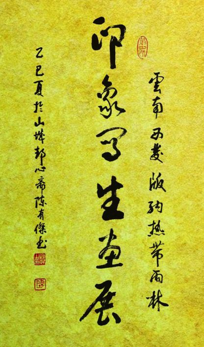 ​云南、西双版纳热带雨林《陈有杰印象写生画展》