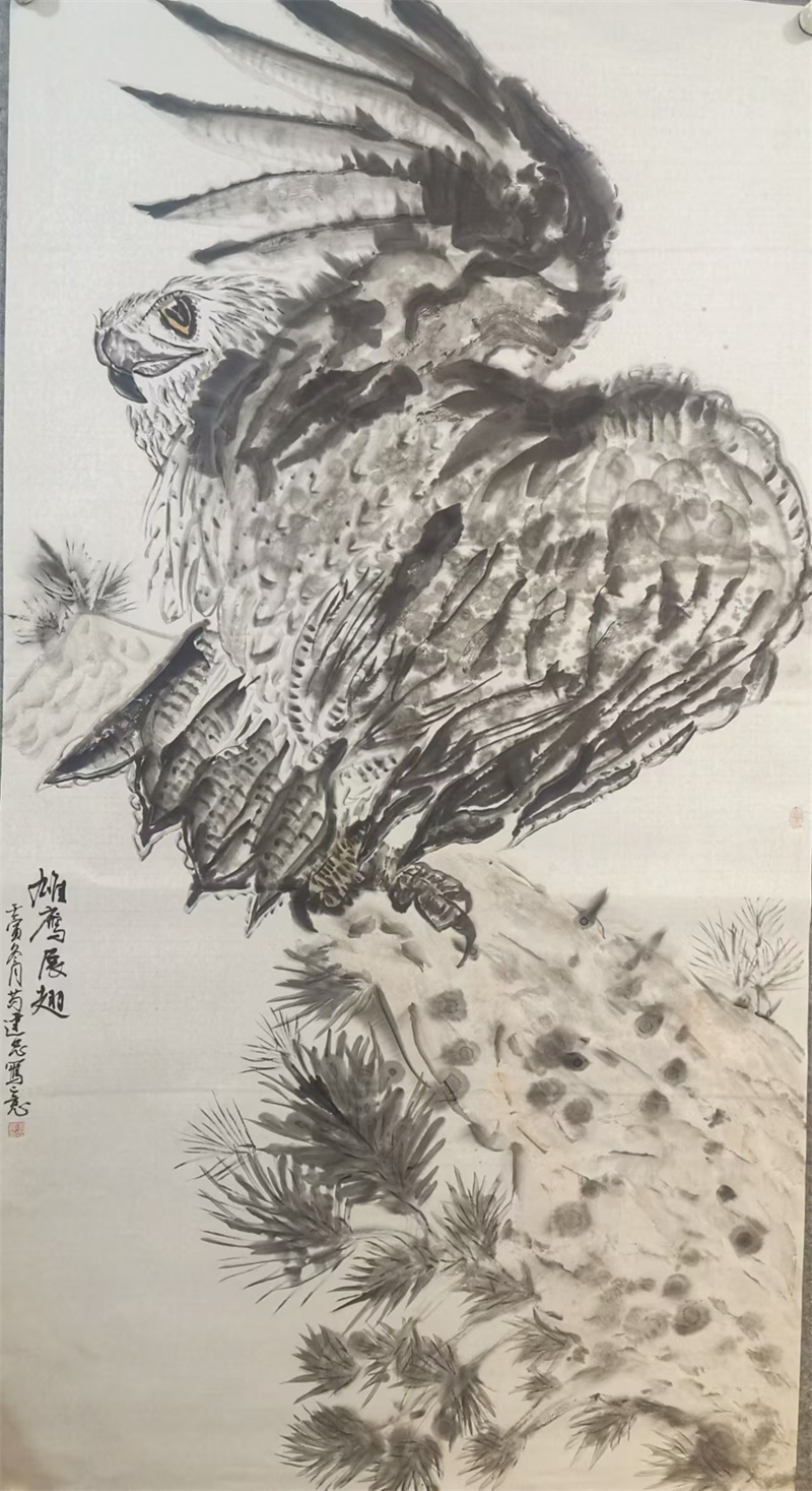 雄鹰展翅   六尺整张